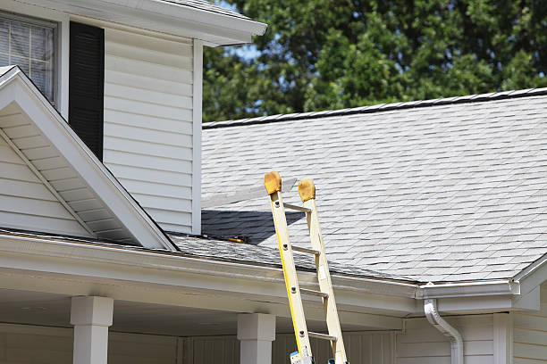 Professional Siding in Quartz Hill, CA